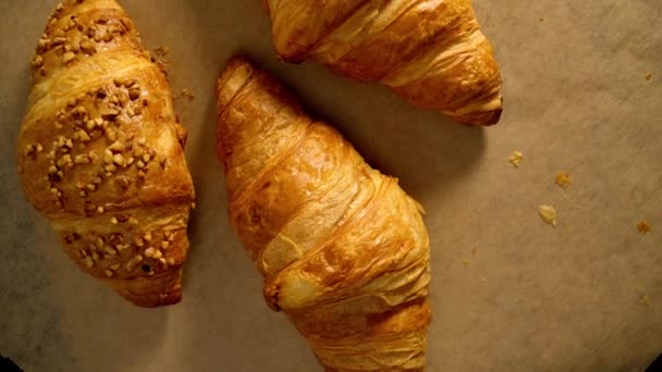 Friss Pékségből French Croissant Élelmiszer Felvételek — Stock videók