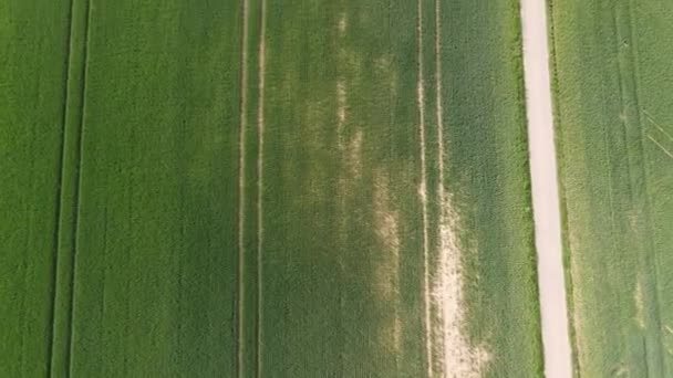 Vol au-dessus des terres agricoles par une journée ensoleillée - photographie aérienne par drone 