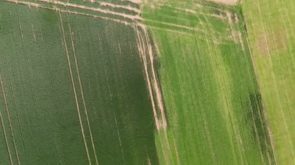 Campos Agrícolas Cima Natureza Maravilhosa Vista Aérea Por Drone — Vídeo de Stock