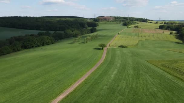 上記からの美しい農地 農村風景 ドローンによる空中写真 — ストック動画