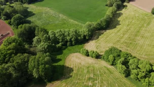 Let Nad Farmlands Slunečného Dne Letecká Fotografie Dronem — Stock video