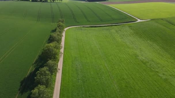 Let Nad Farmlands Slunečného Dne Letecká Fotografie Dronem — Stock video