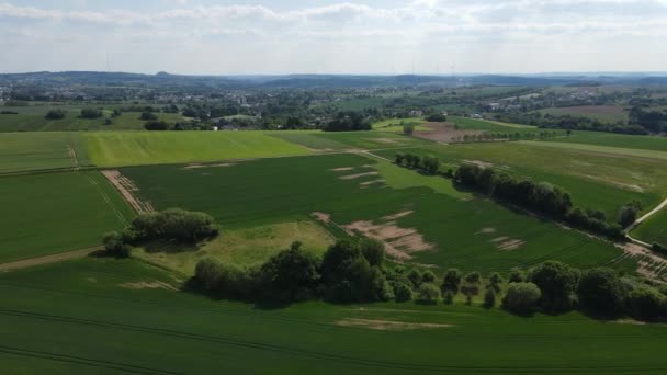 Vuelo sobre tierras agrícolas en un día soleado — Vídeos de Stock