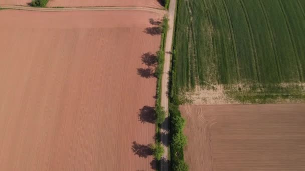 Pola Uprawne Góry Wspaniała Przyroda Widok Lotu Ptaka Dronem — Wideo stockowe