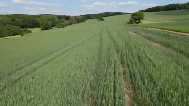 Zemědělská Pole Shora Nádherná Příroda Letecký Pohled Dronem — Stock video