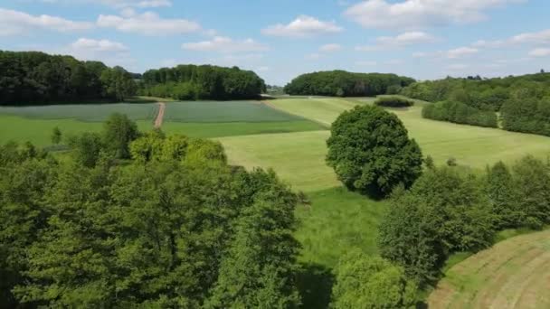 Flyg Över Farmlands Solig Dag Flygfoto Med Drönare — Stockvideo