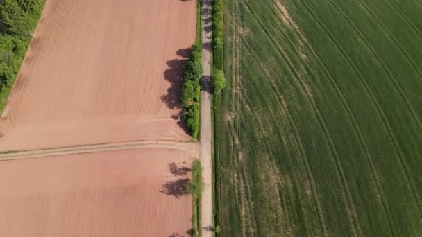 Flug Über Farmlands Einem Sonnigen Tag Luftaufnahmen Drohne — Stockvideo