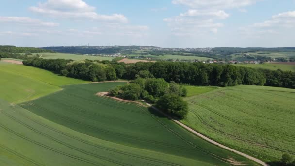 Vuelo Sobre Tierras Agrícolas Día Soleado Fotografía Aérea Por Dron — Vídeos de Stock