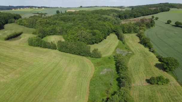 Campos Agrícolas Desde Arriba Naturaleza Maravillosa Vista Aérea Por Dron — Vídeo de stock