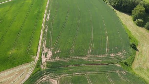 Let Nad Farmlands Slunečného Dne Letecká Fotografie Dronem — Stock video