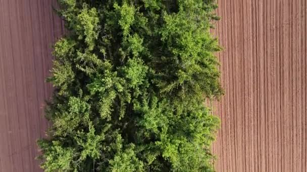 Vackra Åkrar Från Ovan Lantlig Natur Flygfoto Med Drönare — Stockvideo