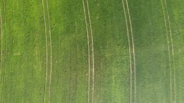 Güneşli bir günde tarım arazileri üzerinde uçuş - İHA 'nın hava fotoğrafçılığı