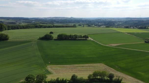 Champs agricoles d'en haut - nature magnifique - vue aérienne par drone 