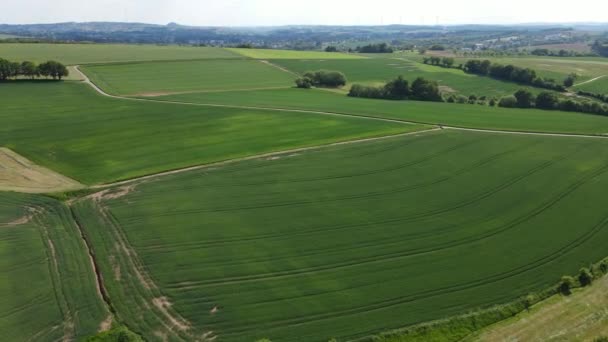 Let Nad Farmlands Slunečného Dne Letecká Fotografie Dronem — Stock video