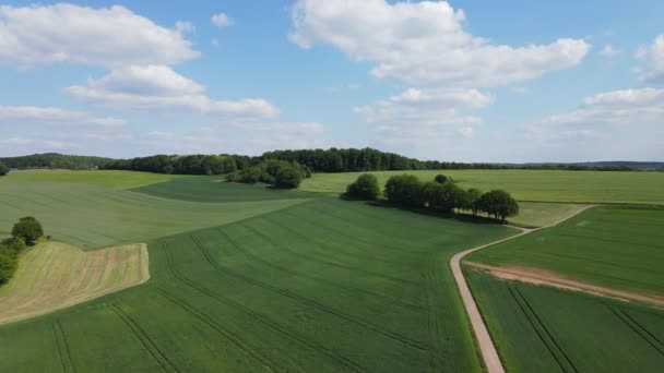 Schöne Felder Von Oben Ländliche Landschaft Luftaufnahmen Drohne — Stockvideo