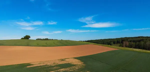 Natura stupefacente - bel terreno agricolo in una giornata di sole — Foto Stock