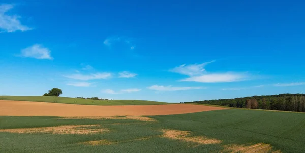 Bei terreni agricoli dall'alto - paesaggio rurale — Foto Stock