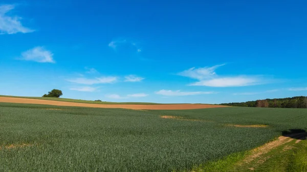 Natura stupefacente - bel terreno agricolo in una giornata di sole — Foto Stock