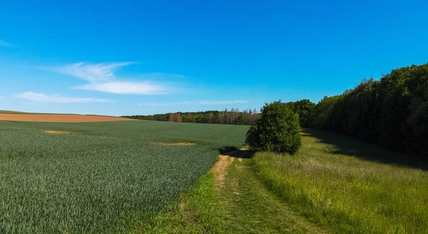 Paesaggio rurale in una giornata di sole - terreni agricoli agricoli — Foto Stock