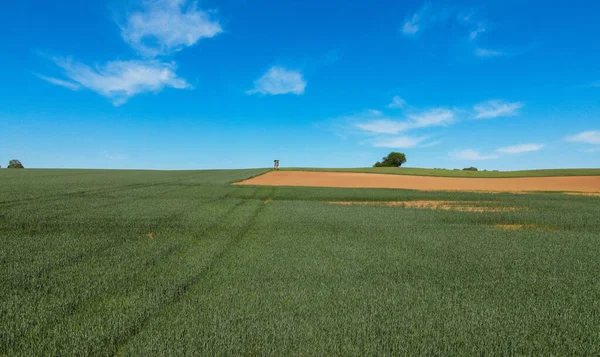 Paesaggio rurale in una giornata di sole - terreni agricoli agricoli — Foto Stock