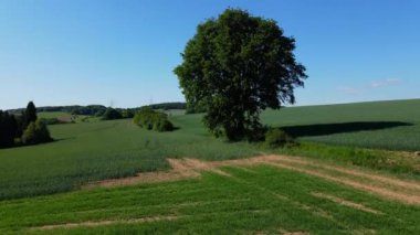 Güneşli bir günde Çiftlik arazileri üzerinde uçuş