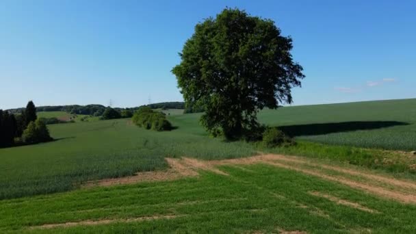 Let nad Farmlands za slunečného dne — Stock video