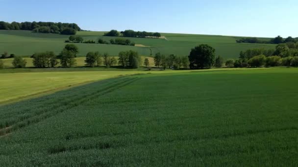 Vol au-dessus des terres agricoles par une journée ensoleillée — Video