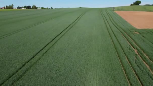 上からの農業分野-素晴らしい自然 — ストック動画