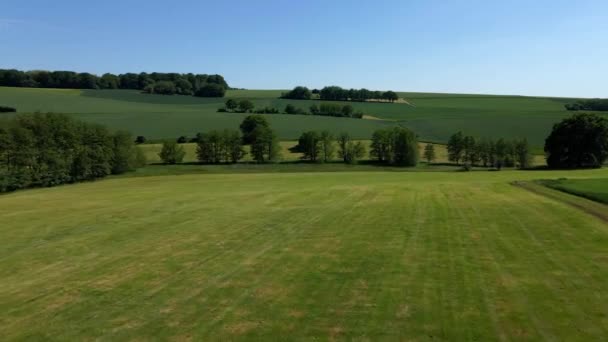 Lot nad Farmlands w słoneczny dzień — Wideo stockowe