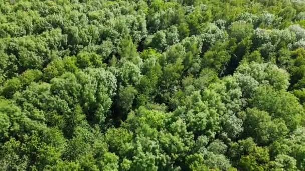 Vol au-dessus des terres agricoles par une journée ensoleillée 