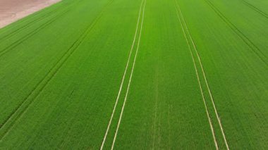 Güneşli bir günde Çiftlik arazileri üzerinde uçuş