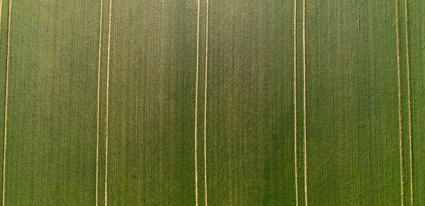 Vista dall'alto verso il basso sui terreni agricoli — Foto Stock