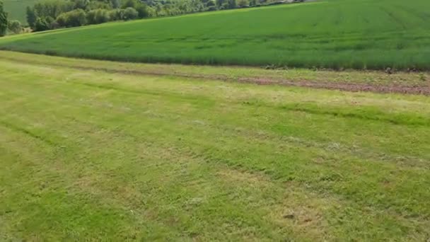 Vuelo sobre tierras agrícolas en un día soleado — Vídeo de stock