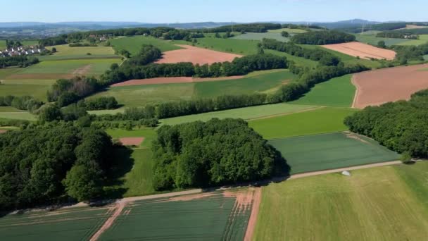 Vuelo sobre tierras agrícolas en un día soleado — Vídeo de stock