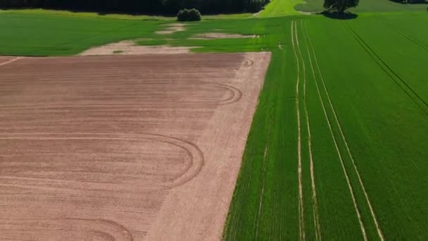 Campos agrícolas desde arriba - naturaleza maravillosa — Vídeo de stock