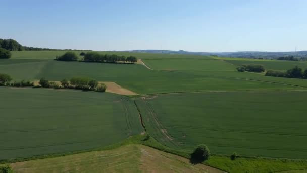 Vuelo sobre tierras agrícolas en un día soleado — Vídeo de stock