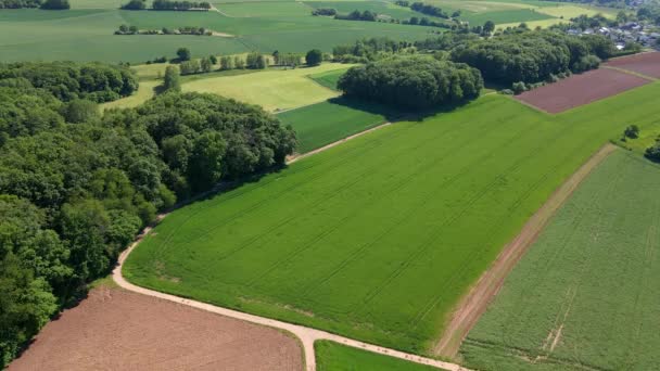 Hermosas tierras de cultivo desde arriba - paisaje rural — Vídeos de Stock