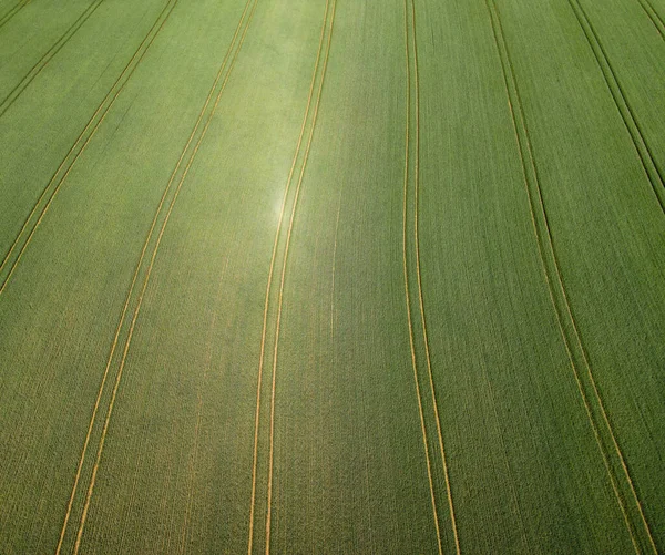 Vista dall'alto verso il basso sui terreni agricoli — Foto Stock