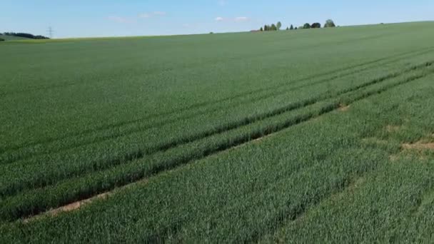 Vol au-dessus des terres agricoles par une journée ensoleillée — Video