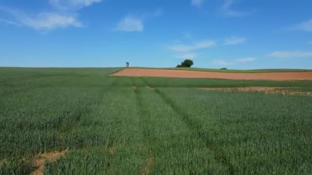 Vuelo sobre tierras agrícolas en un día soleado — Vídeo de stock