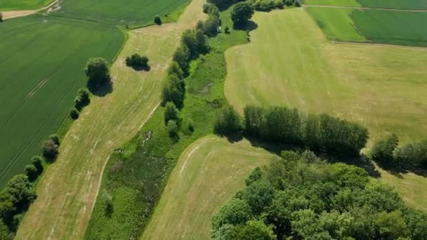 Vol au-dessus des terres agricoles par une journée ensoleillée — Video