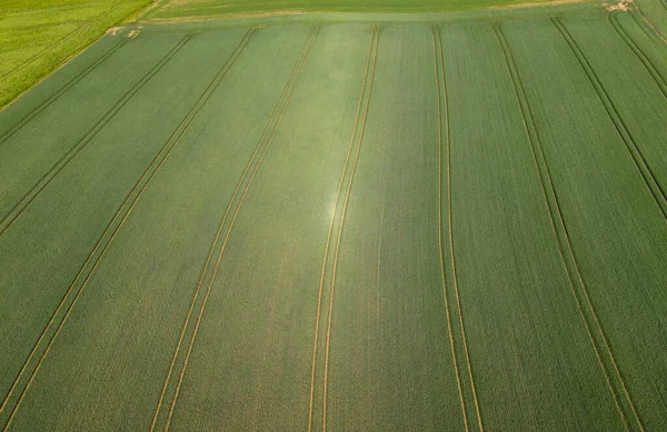 Campi agricoli dall'alto - natura meravigliosa — Foto Stock