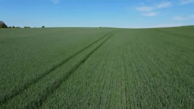 Güneşli bir günde Çiftlik arazileri üzerinde uçuş