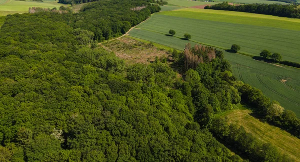 Paesaggio rurale in una giornata di sole - terreni agricoli agricoli — Foto Stock