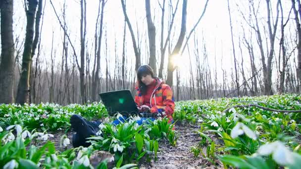 Una hermosa joven está trabajando con un ordenador portátil en medio de un bosque de primavera lleno de nevadas florecientes — Vídeos de Stock