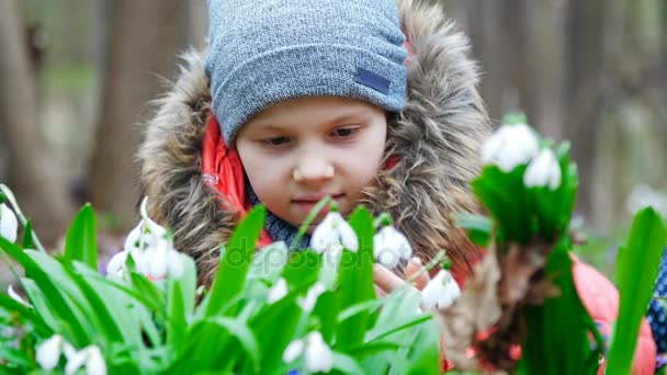 En vacker, Söt liten flicka åtnjuter blommande snödroppar i en våren skog — Stockvideo