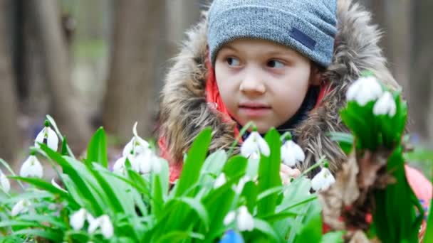 Una hermosa, linda niña disfruta de las gotas de nieve en flor en un bosque de primavera — Vídeos de Stock