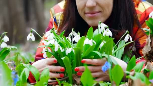 Egy gyönyörű nő élvezi virágzó hóvirág, tavaszi erdő — Stock videók