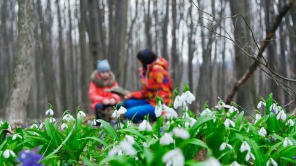 Vacker mor och Söt dotter läser en intressant bok i en våren skog full av blommande snödroppar — Stockvideo