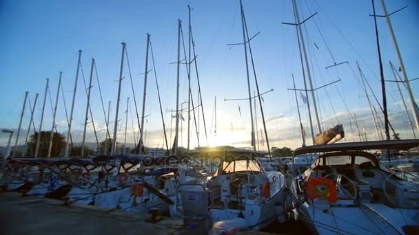 Beaucoup de beaux voiliers et catamarans amarrés à la jetée dans la marina grecque d'Athènes, la Méditerranée, un matin d'été clair, lever de soleil. Hauts mâts de yachts. Vue de la jetée — Video